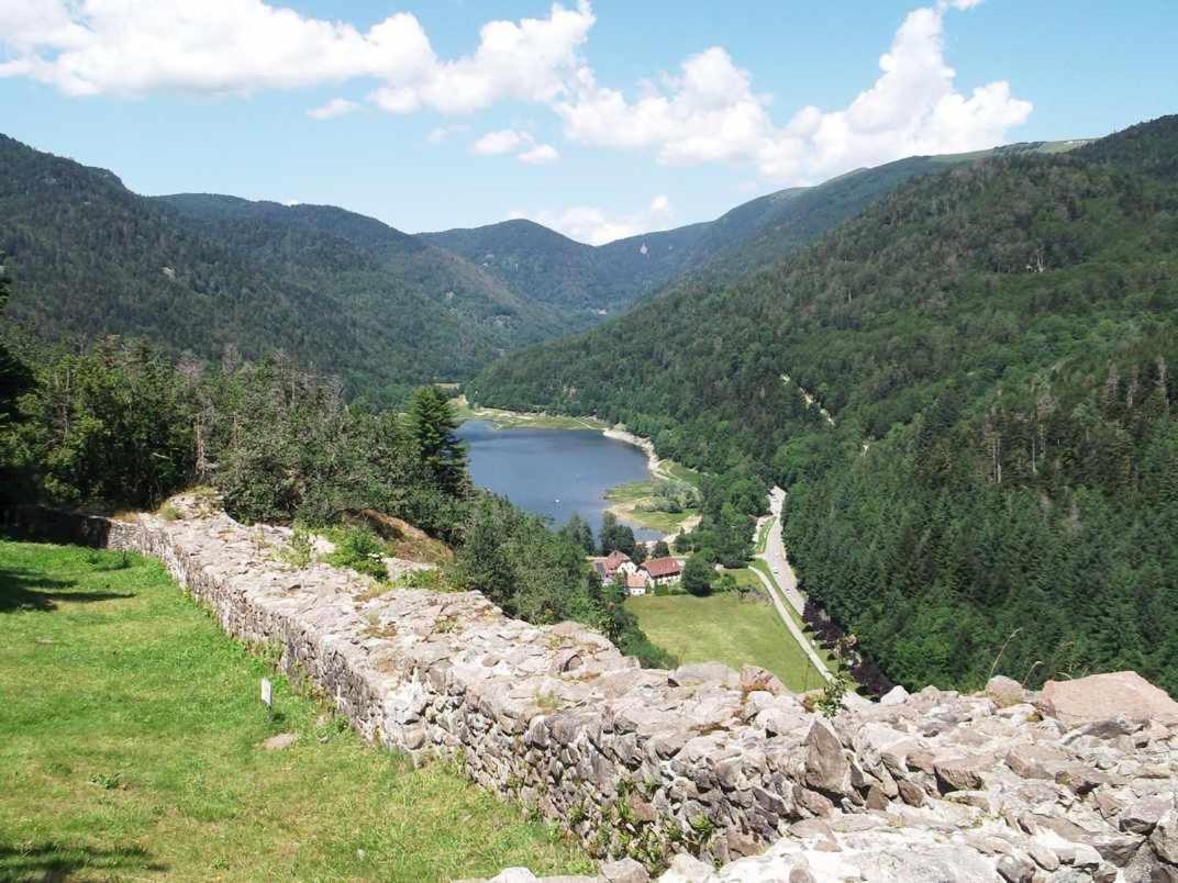 Petite Maison Au Calme Avec Jardin Cloture Les Animaux Bienvenue Mollau Εξωτερικό φωτογραφία
